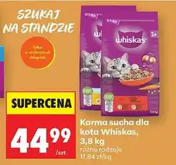 Biedronka Karma sucha dla kota Whiskas, 3,8 kg oferta