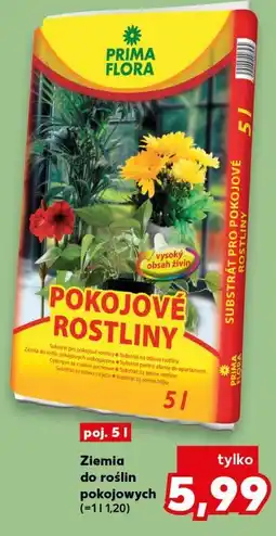 Kaufland Ziemia do roślin pokojowych oferta