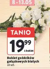 Intermarche Bukiet goździków gałązkowych białych 10 szt oferta