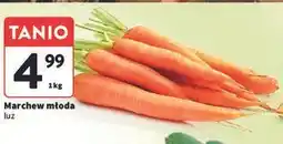 Intermarche Marchew młoda oferta