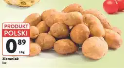 Intermarche Ziemniak luz oferta