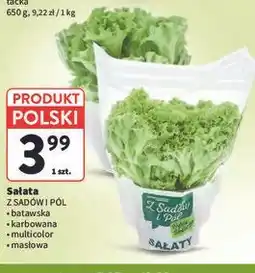 Intermarche Sałata Z Sadów i Pól oferta