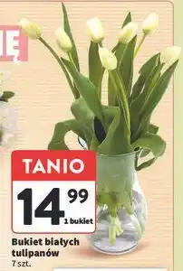 Intermarche Bukiet białych tulipanów 7 szt oferta