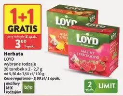 Intermarche Herbata LOYD wybrane rodzaje 20 torebek x oferta