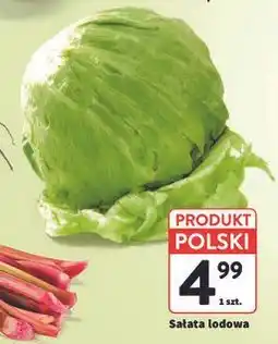 Intermarche Sałata lodowa oferta