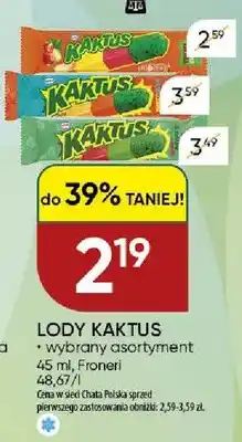 Chata Polska Lody Kaktus Froneri wybrany asortyment oferta