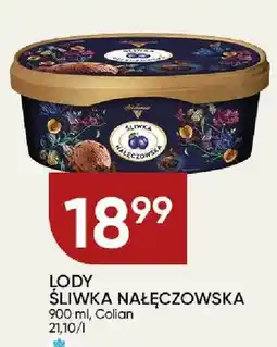 Chata Polska Lody Śliwka Nałęczowska Colian oferta
