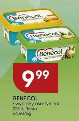 Chata Polska Benecol wybrany asortyment Raisio oferta