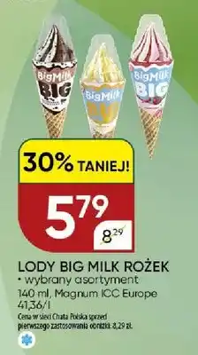 Chata Polska Lody Big Milk Rożek Magnum ICC Europe wybrany asortyment oferta