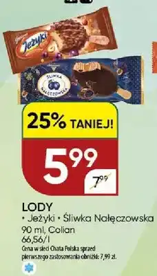 Chata Polska Lody Śliwka Nałęczowska Colian oferta