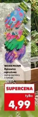 Kaufland WORKMANN Rękawice ogrodowe oferta