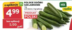 Stokrotka Market Polskie Ogórki Szklarniowe oferta