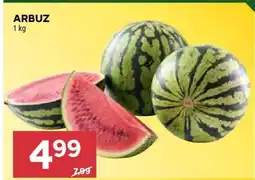 Stokrotka Market Arbuz oferta