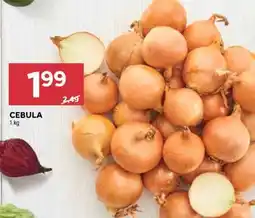 Stokrotka Market Cebula oferta