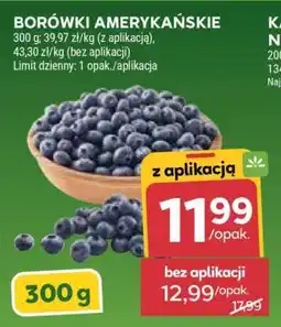 Stokrotka Market Borówki amerykańskie oferta