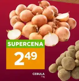Stokrotka Market Cebula oferta