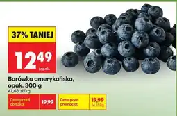 Biedronka Borówka amerykańska opak 300 g oferta