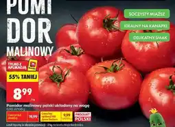 Biedronka Pomidor malinowy oferta