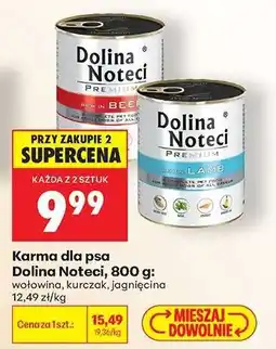 Biedronka Dolina Noteci oferta
