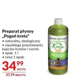 Makro Najlepsze Trawy z Iławy Pogoń kreta oferta