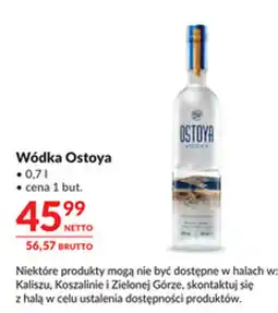 Makro Wódka Ostoya oferta