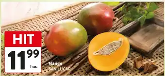 Mango SAN LUCAR