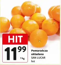 Intermarche Pomarańcza układana SAN LUCAR luz oferta