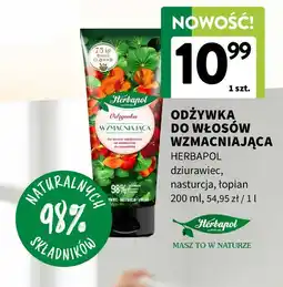 Intermarche Odżywka do włosów wzmacniająca dziurawiec-nasturcja-łopian Herbapol Polana oferta