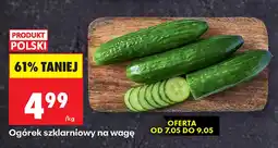 Biedronka Ogórek Polski oferta
