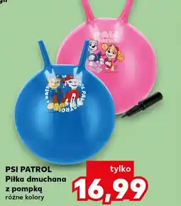 Kaufland Piłka dmuchana Psi Patrol oferta