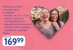 dm drogerie markt Poduszka Premium oferta