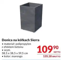 Makro Donica na kółkach Sierra oferta