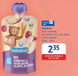 dm drogerie markt Mus owocowy babylove BIO dla dzieci od 1. roku życia oferta