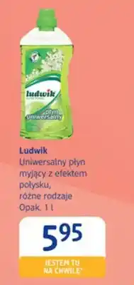dm drogerie markt Uniwersalny płyn myjący z efektem połysku Ludwik oferta
