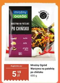 Dino Warzywa na patelnię po chińsku Mroźny Ogród oferta