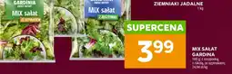 Stokrotka Mix sałat Gardinia oferta