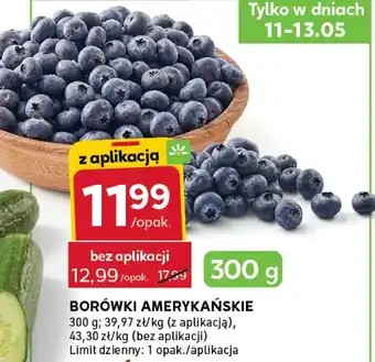 Stokrotka Express Borówki amerykańskie oferta