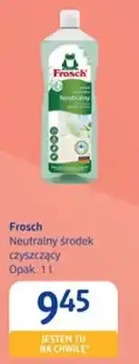 dm drogerie markt Neutralny środek czyszczący Frosch oferta