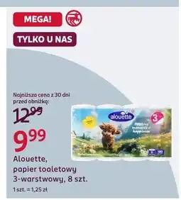 Rossmann Alouette papier toaletowy 3-warstwowy oferta
