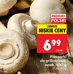 Biedronka Pieczarki Polski oferta