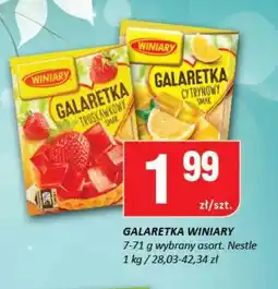 Chorten Galaretka Winiary oferta