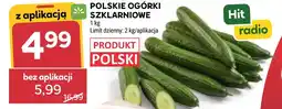 Stokrotka Ogórki Hit oferta