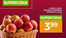 Stokrotka Jabłka Champion oferta