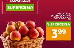 Stokrotka Jabłka Champion oferta