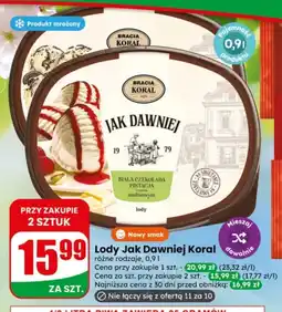 Dino Lody Bracia Koral oferta