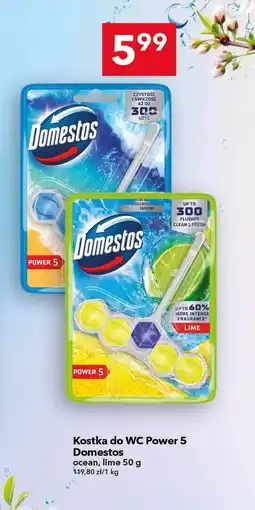 Lewiatan Kostka do wc Domestos oferta