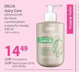 Hebe Żel do mycia rąk Delia oferta