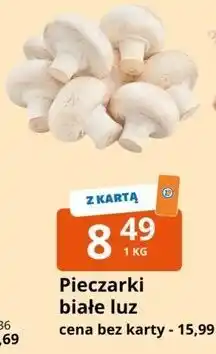 E.Leclerc Pieczarki białe luz oferta