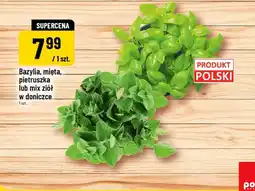 Polomarket Bazylia w doniczce polska oferta