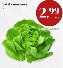 Market Point Sałata masłowa oferta